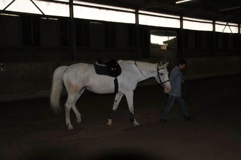 Sommertreff - Reiten Aumuehle – Bild 10