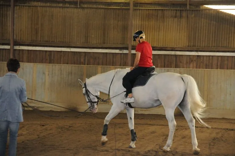 Sommertreff - Reiten Aumuehle – Bild 20