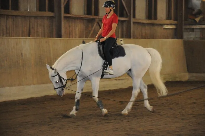 Sommertreff - Reiten Aumuehle – Bild 24