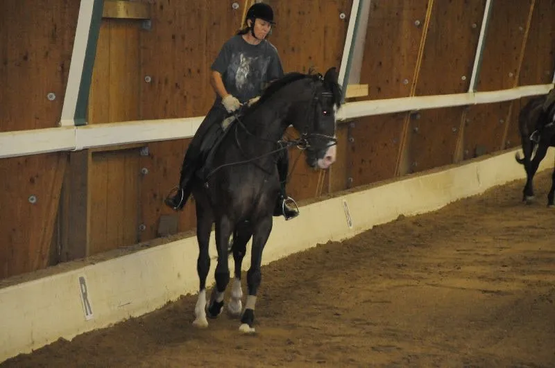 Sommertreff - Reiten Aumuehle – Bild 32