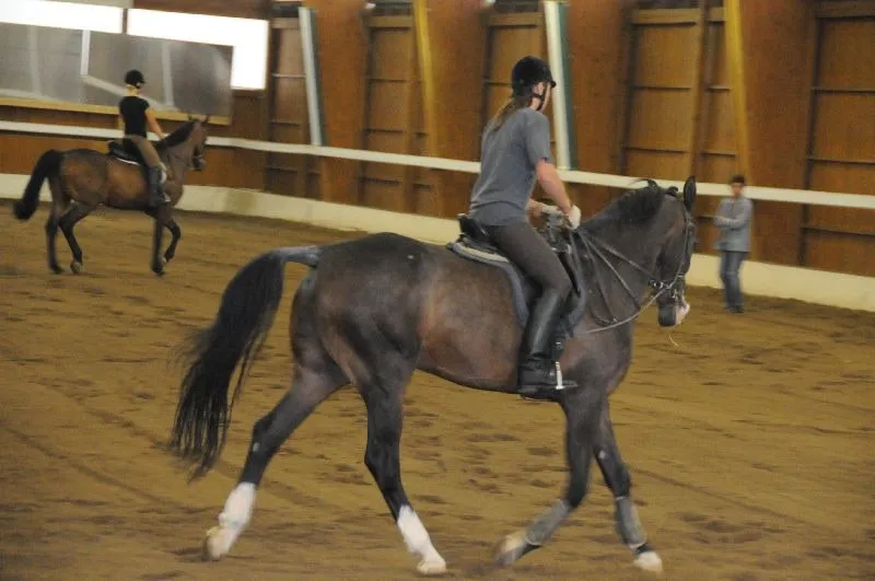 Sommertreff - Reiten Aumuehle – Bild 33