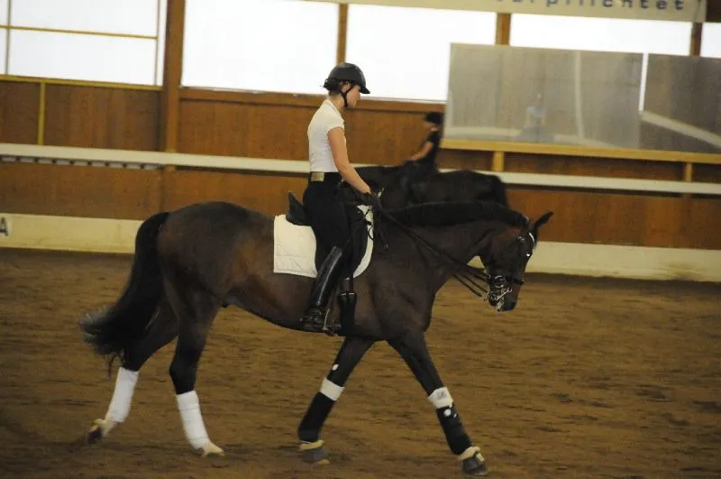 Sommertreff - Reiten Aumuehle – Bild 42